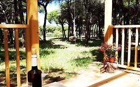The Pineforest Cabin