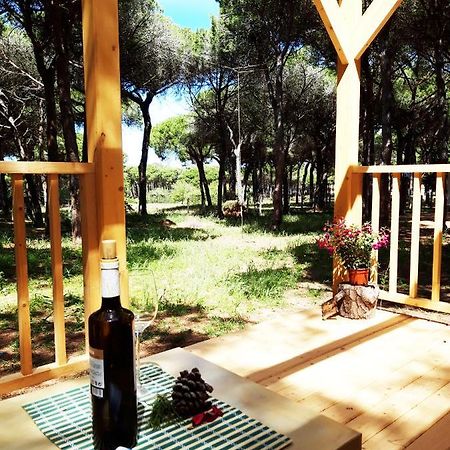 The Pineforest Cabin Chiclana de la Frontera Exterior foto