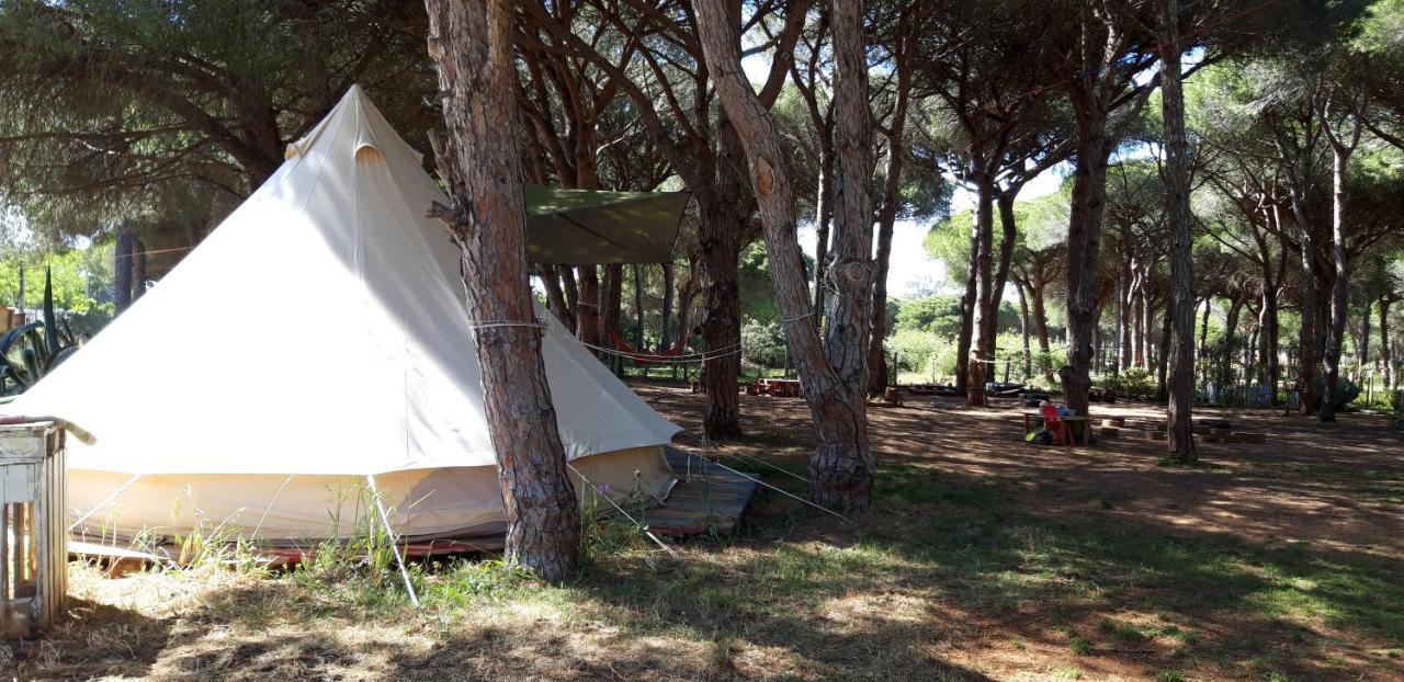 The Pineforest Cabin Chiclana de la Frontera Exterior foto