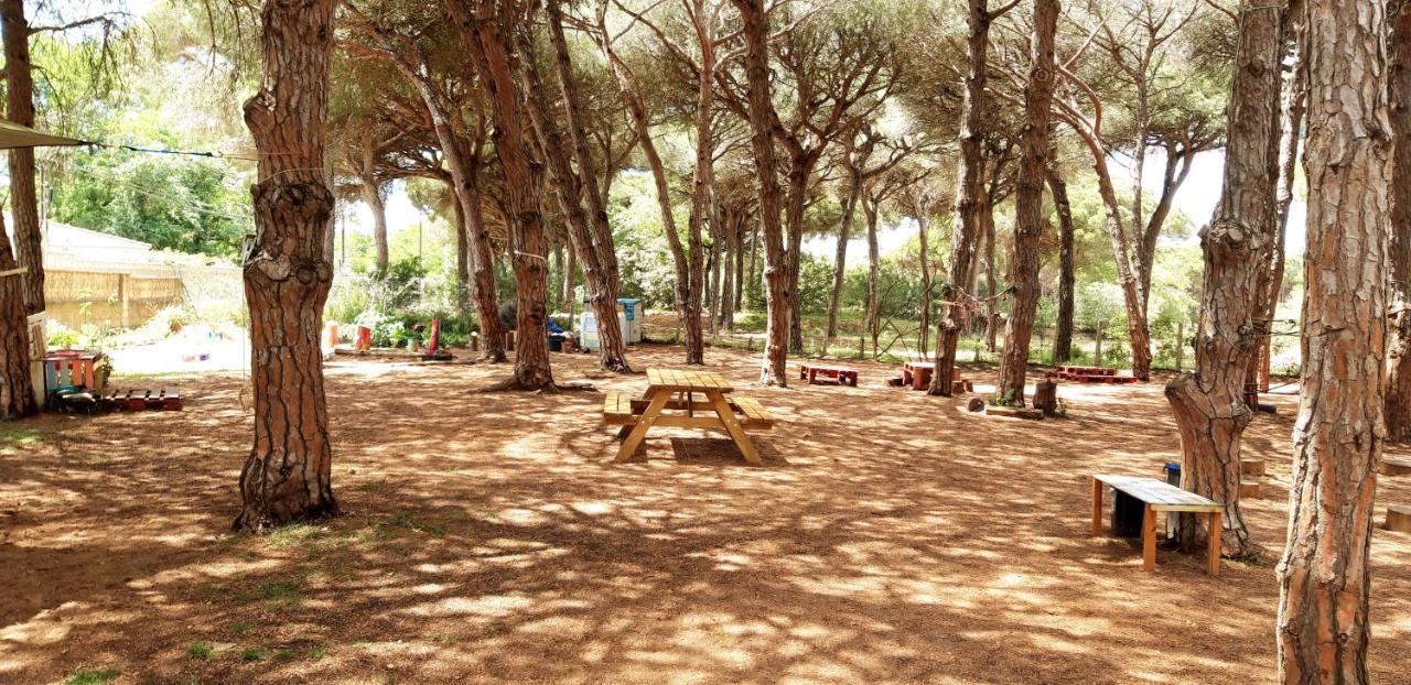 The Pineforest Cabin Chiclana de la Frontera Exterior foto