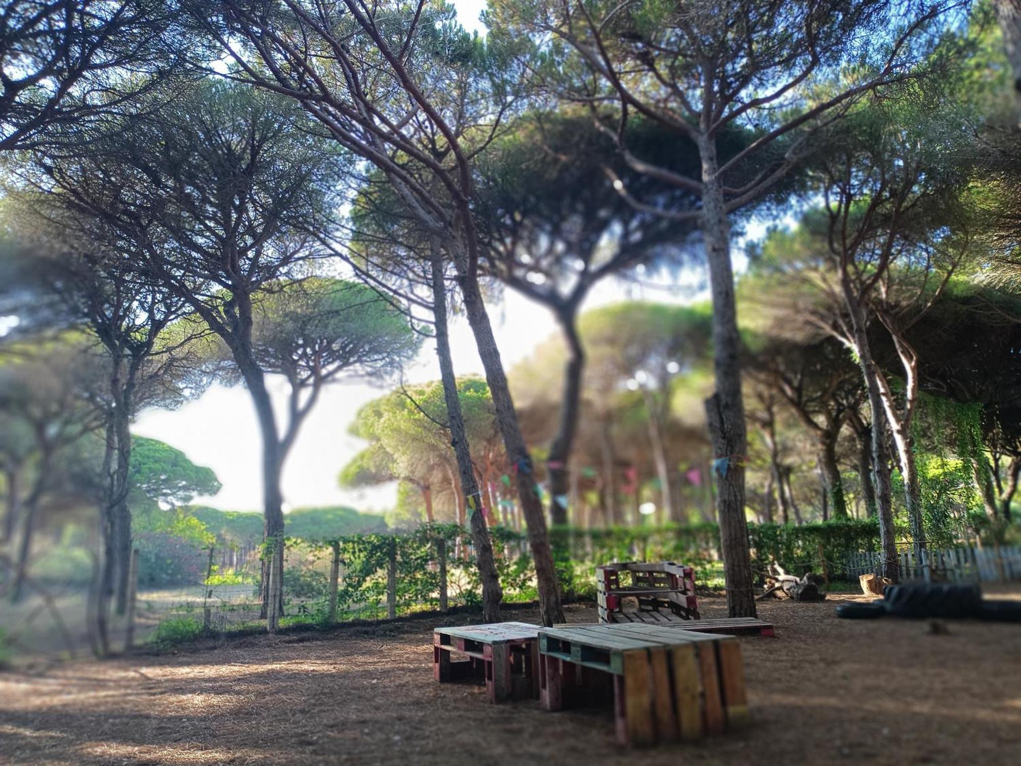 The Pineforest Cabin Chiclana de la Frontera Exterior foto