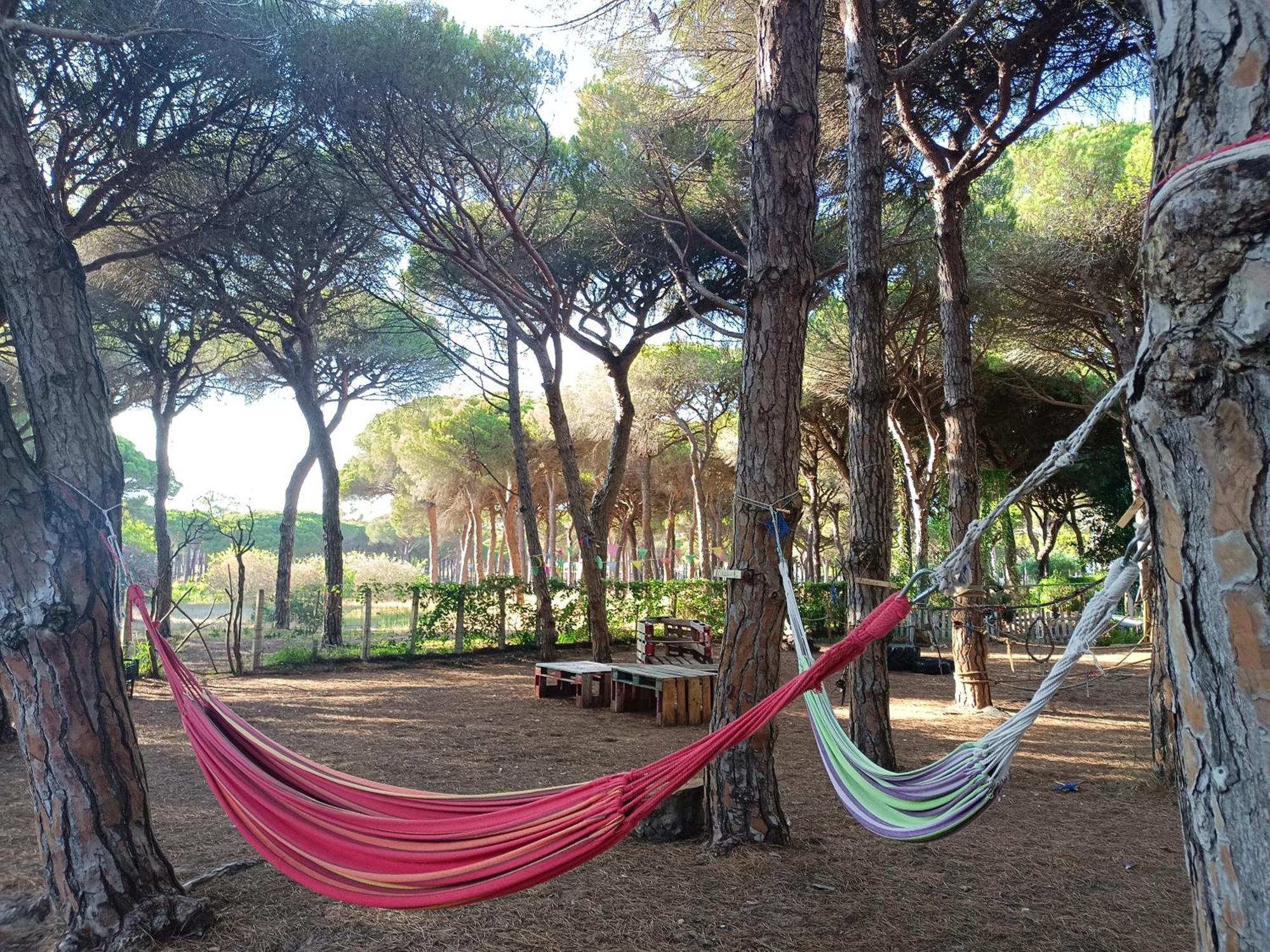 The Pineforest Cabin Chiclana de la Frontera Exterior foto