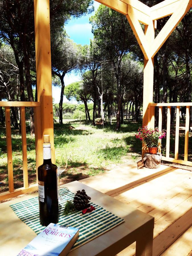 The Pineforest Cabin Chiclana de la Frontera Exterior foto